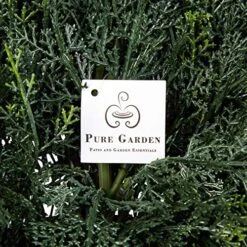 Home Pure Garden Artificial Cypress Topiary-23” Ball Style Faux Plant In Sturdy Realistic Indoor Or Outdoor Potted Shrub Décor 16 Home Pure Garden Artificial Cypress Topiary-23” Ball Style Faux Plant In Sturdy Realistic Indoor Or Outdoor Potted Shrub Décor -Artificial Trees Store 61r6augSuSL