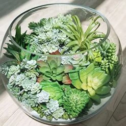 Winlyn 19 Pcs Assorted Artificial Succulents Plants Unpotted Small Green Aloe Hops Cactus String Of Pearls Picks Fake Succulents Bulk For Succulent Garden Floral Arrangement Indoor Outdoor Home Decor -Artificial Trees Store 61t9eAPjuyL