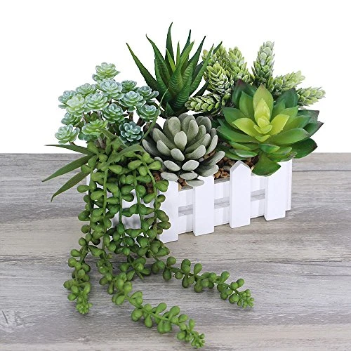 Winlyn 6 Pcs Unpotted Fake Succulents Assorted Faux Succulent In Different Green Artificial Hanging Succulents Textured Faux Succulent Pick Hanging String Of Pearls Plant For Wedding Centerpieces 6 Winlyn 6 Pcs Unpotted Fake Succulents Assorted Faux Succulent In Different Green Artificial Hanging Succulents Textured Faux Succulent Pick Hanging String Of Pearls Plant For Wedding Centerpieces - Image 4