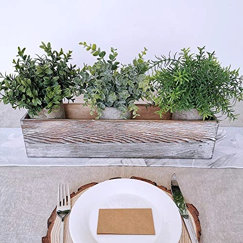 Winlyn Mini Potted Plants Artificial Eucalyptus Boxwood Rosemary Greenery In Pots Faux Potted Herbs Small Houseplants 8.3"-9" Tall For Indoor Greenery Tabletop Décor Centerpiece 3 Pack 5 Winlyn Mini Potted Plants Artificial Eucalyptus Boxwood Rosemary Greenery In Pots Faux Potted Herbs Small Houseplants 8.3"-9" Tall For Indoor Greenery Tabletop Décor Centerpiece 3 Pack - Image 3