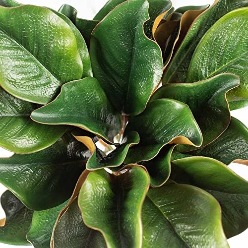 Factory Direct Craft Artificial Magnolia Leaf Bush Realistic Faux Magnolia Leaves For Natural Look Greenery In Floral Designs, Wedding Decor, Home Decor, And Holiday Decorating 6 Factory Direct Craft Artificial Magnolia Leaf Bush Realistic Faux Magnolia Leaves For Natural Look Greenery In Floral Designs, Wedding Decor, Home Decor, And Holiday Decorating - Image 4